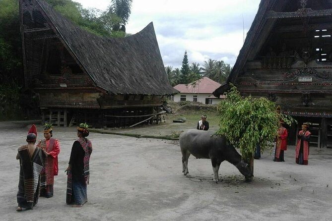 6 Day North Sumatra Highlights - Jungles Orangutans Lakes and Volcanoes - Key Points
