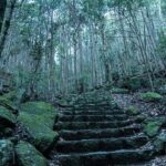 6 Day Private Ise and Kumano Tour - Practical Considerations and Value
