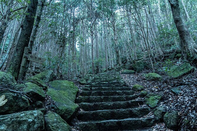 6 Day Private Ise and Kumano Tour - Practical Considerations and Value