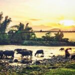 6-Day Private Tour Mu Cang Chai and Sapa from Hanoi - In The Sum Up