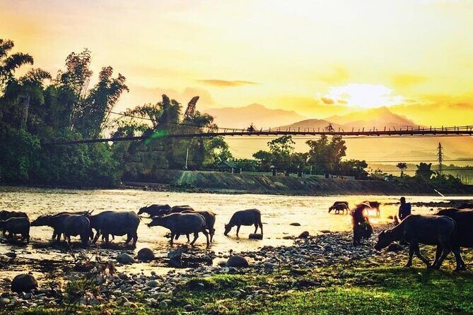 6-Day Private Tour Mu Cang Chai and Sapa from Hanoi - In The Sum Up