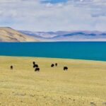 6-Day Small Group Lhasa City and Holy Lake Namtso Tour - Who Is This Tour Best For?