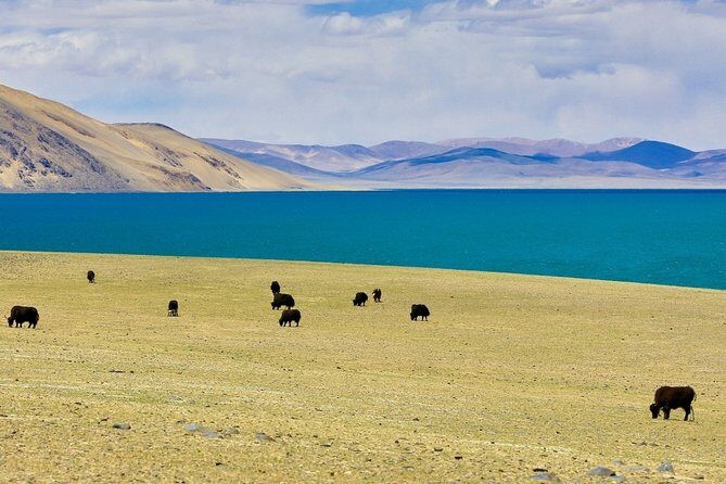 6-Day Small Group Lhasa City and Holy Lake Namtso Tour - Who Is This Tour Best For?