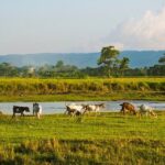 6 Days Chepang Village Homestay Hill Hike - Who Should Consider This Tour?