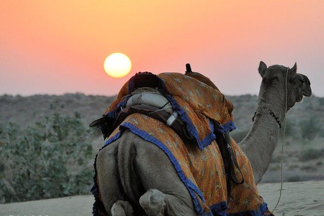 6 Days Golden Triangle with Jaisalmer Desert Safari Tour - Final thoughts on value and who it suits best
