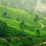 6 Days Private Vehicle With Driver Explore Sri Lanka By Your Own Plans - Day 4: The Sacred and the Historical of Anuradhapura