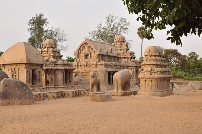 6 Days - The best of Tamil Nadu South India - Who Should Consider This Tour?