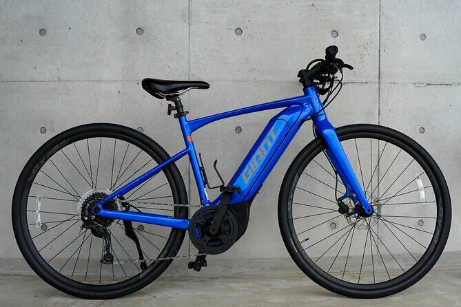 6 Hour Private E bike Tour on Omishima - What’s Included and What’s Not