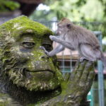 6 Hour Private Tour in Ubud - What Travelers Say and What You Should Know