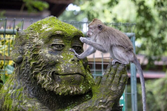 6 Hour Private Tour in Ubud - What Travelers Say and What You Should Know