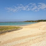 60min Buggy / ATV adventure tour in Jungle in Okinawa - The Itinerary in Detail