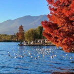 7-Day Private Discovery Tour from Kunming to Dali and Lijiang - Day 2: Exploring Naigu Stone Forest and Dianchi Lake