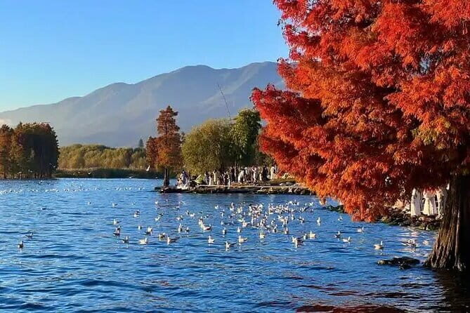 7-Day Private Discovery Tour from Kunming to Dali and Lijiang - Day 2: Exploring Naigu Stone Forest and Dianchi Lake