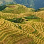 7-Day Private Tour from Chongqing to Guilin,Longji Terraces,Sanjiang & Yangshuo - What We Loved About the Tour