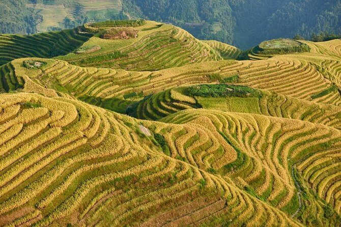 7-Day Private Tour from Chongqing to Guilin,Longji Terraces,Sanjiang & Yangshuo - What We Loved About the Tour