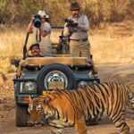 7 Days Golden Triangle Tour & Ranthambore Tiger Safari - Final Thoughts