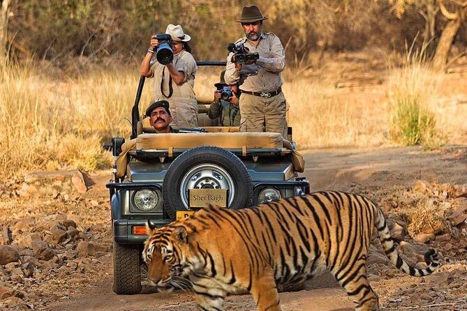 7 Days Golden Triangle Tour & Ranthambore Tiger Safari - Final Thoughts
