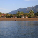 7 Days Safari - Practical Details and Value
