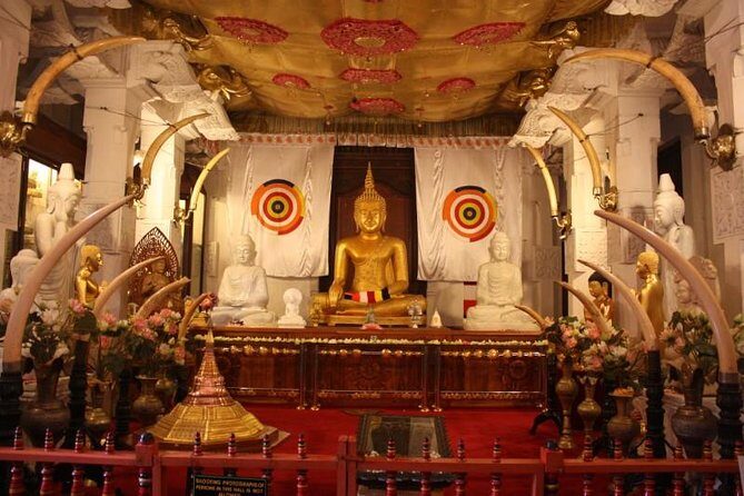 7D - Highlights of Sri Lanka - Who This Tour Is Best For