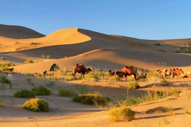 8-Day Dunhuang Jiayuguan Zhangye and Badain Jaran Private Tour - FAQ