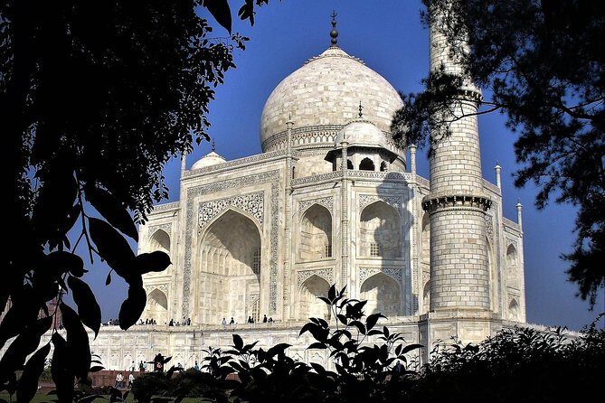8 Day Golden Triangle Tour with Amritsar - The True Value of This Tour