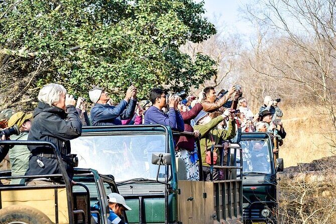 8-Day Private Transport for Golden Triangle Tour With Ranthambore - What the Experience Means for You