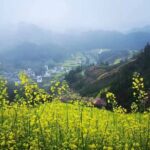 8-Day Shanghai, Water Village, Hangzhou, Yellow Mt and Hamlets - Who This Tour Is Best For
