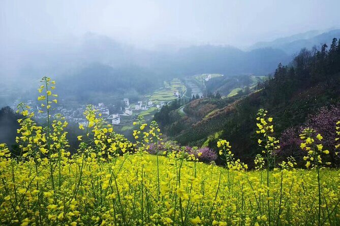 8-Day Shanghai, Water Village, Hangzhou, Yellow Mt and Hamlets - Who This Tour Is Best For