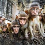 8 Days Bangkok and Ancient Capitals from Bangkok, Small Group - Practical Aspects and What They Mean for You