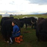 8 Days Gobi And Waterfall Tour - Practical Considerations and Value