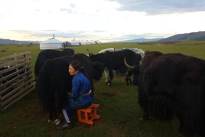8 Days Gobi And Waterfall Tour - Practical Considerations and Value