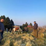 8 Days Poon Hill with Mardi Himal Base Camp Trek - Who Is This Tour Best For?