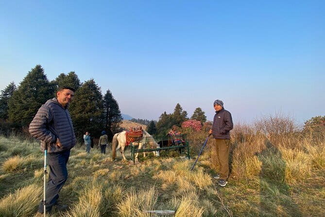 8 Days Poon Hill with Mardi Himal Base Camp Trek - Who Is This Tour Best For?