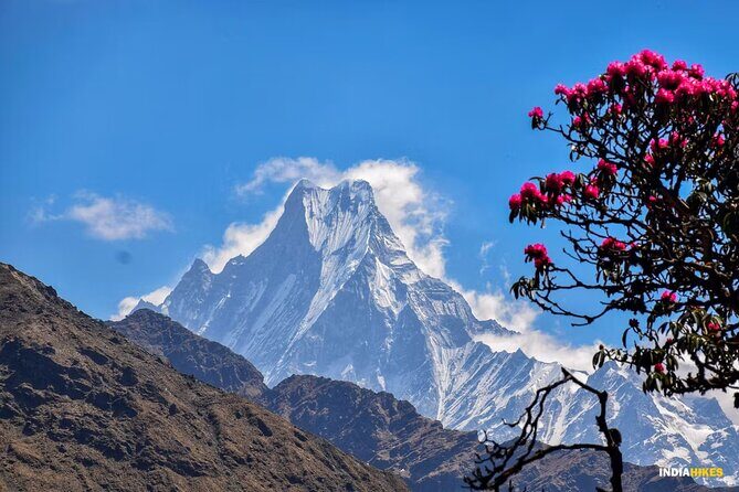8 Days Private Pokhara Trekking to Khopra Hill - Who Should Consider This Trek?