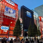 8-Hour Private Tour of Traditional Tokyo in Spanish - Practical Details and Considerations