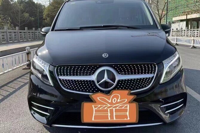 8 hours Private Car Transport in Wuhan China - Who Is This Tour Best For?