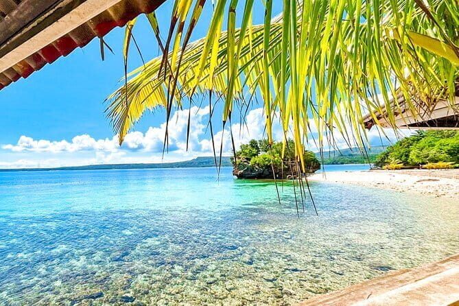 9 Days Philippines Island Hopping and Marine Life tour - Marine Life Encounters and Island-Hopping in Bohol and Dumaguete