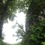 A Day in the Countryside Around Mumbai - Who Would Love This Tour?