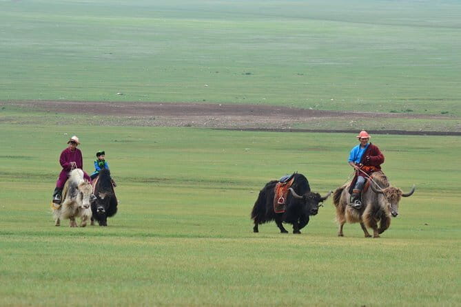 A Day Mini Naadam Festival 2020 & Genuine Nomadic Heritage - What We Thought About the Tour