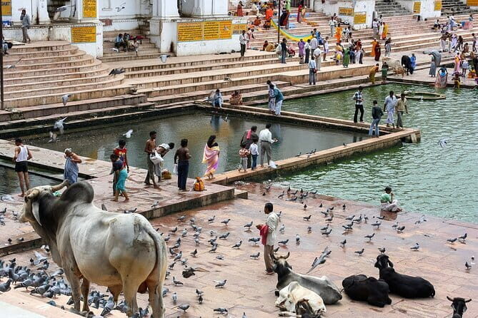A Day Trip of Pushkar From Jaipur with Guide Service - Authenticities from Reviewers and Practical Tips