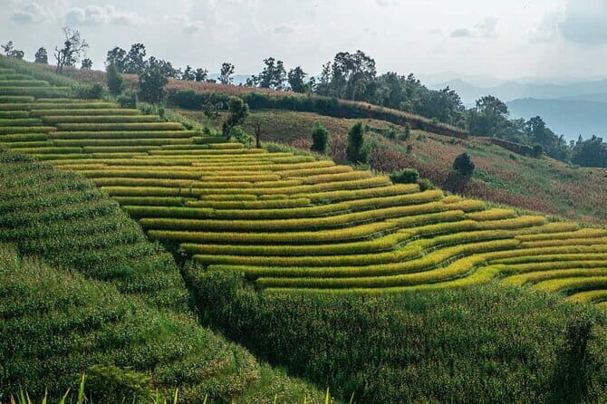 A Day Trip to Doi Inthanon Escape to Nature - Who Should Choose This Tour?