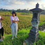 A Morning Walk at Sacred Rice Fields Through Tradition and Nature - Practical Details & Value