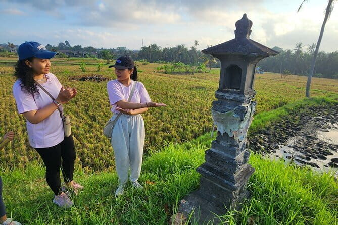 A Morning Walk at Sacred Rice Fields Through Tradition and Nature - Practical Details & Value
