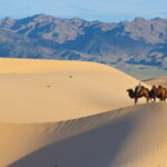A Private Tour to Central Mongolia - Venturing into Mongolia’s Natural Wonders