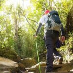 A Rendezvous with Nature - Templer Park and Kanching Waterfall Tour - Transportation and Practical Details