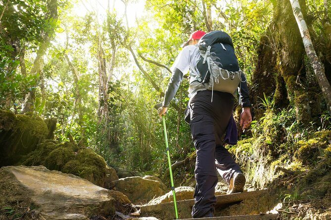 A Rendezvous with Nature - Templer Park and Kanching Waterfall Tour - Transportation and Practical Details
