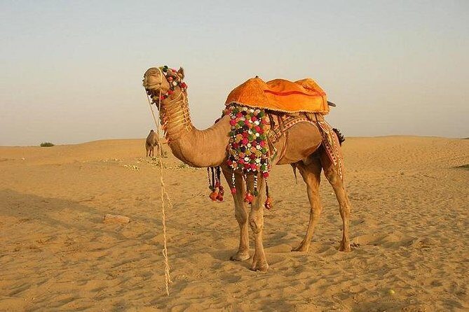 A Two Night Excursion To Jaisalmer From Jodhpur By Private Transfer - A Closer Look at the Itinerary
