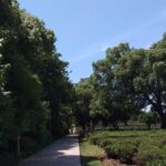 A Visit To Zen Buddhist Temple & A Taste Of Chinese Tea - A Taste of Tea Culture at the National Tea Museum