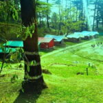 Adventure camping at Mussoorie - 1n2d - An In-Depth Look at the Adventure Camping Experience