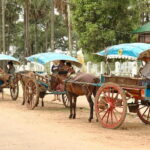Adventure Day Trip to Bago - A Deep Dive into the Bago Adventure